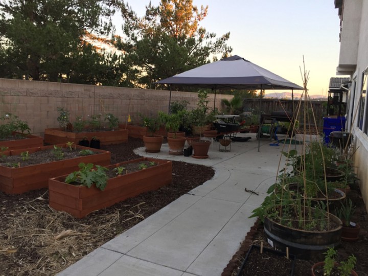 July132016 191sm.jpg